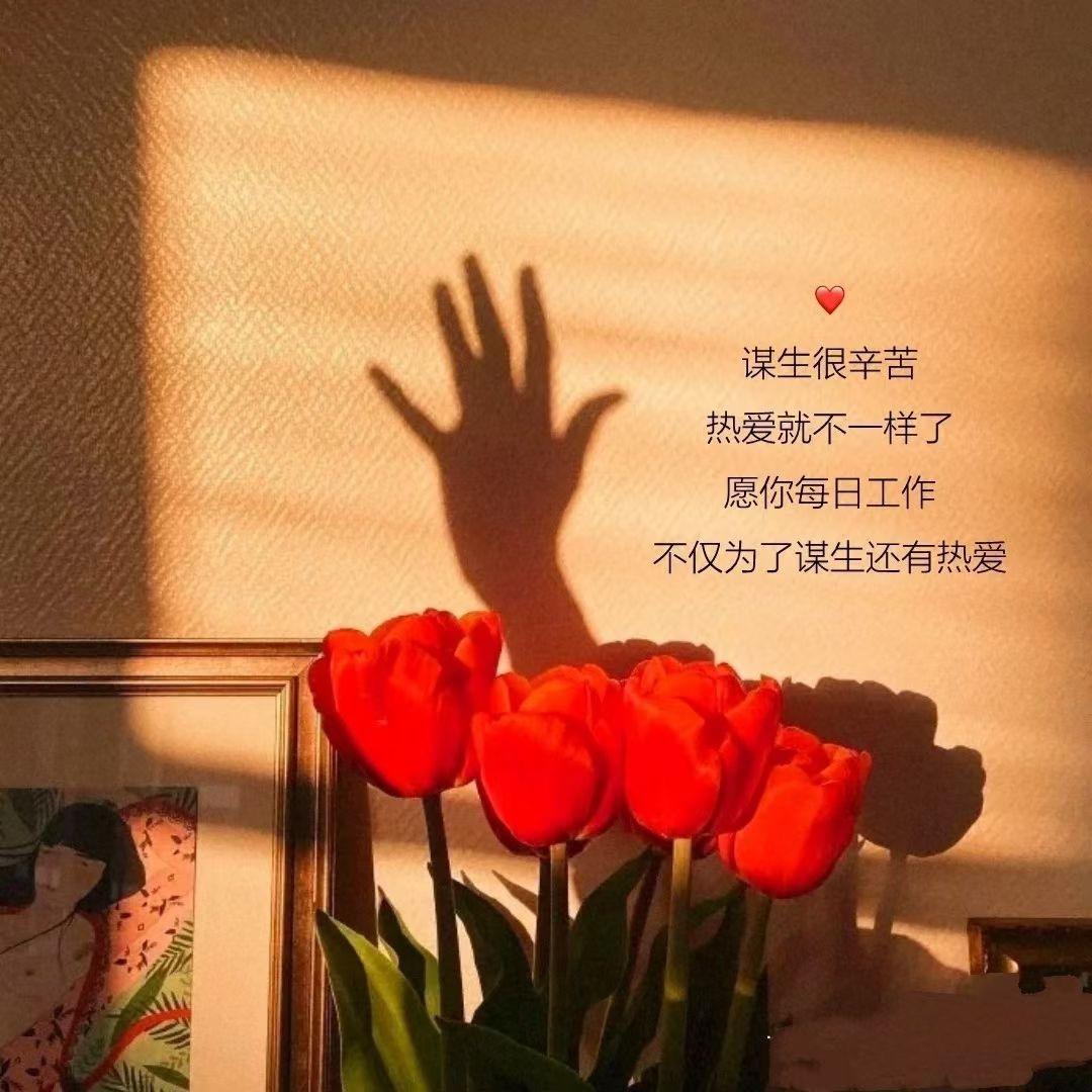 拾光