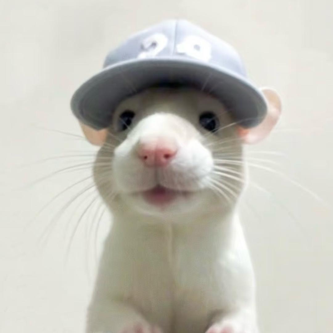 忙着喂鸡