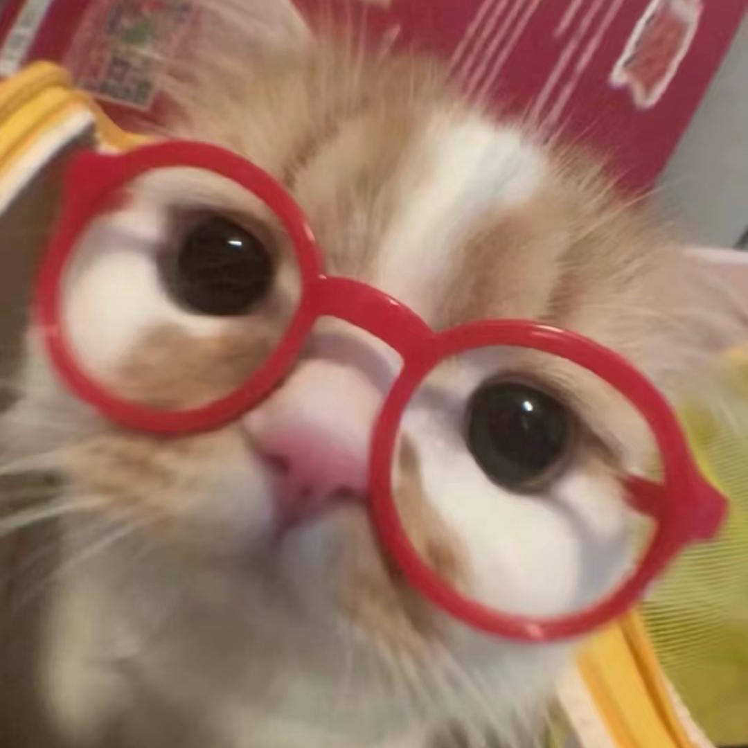 蒜泥油猫饼
