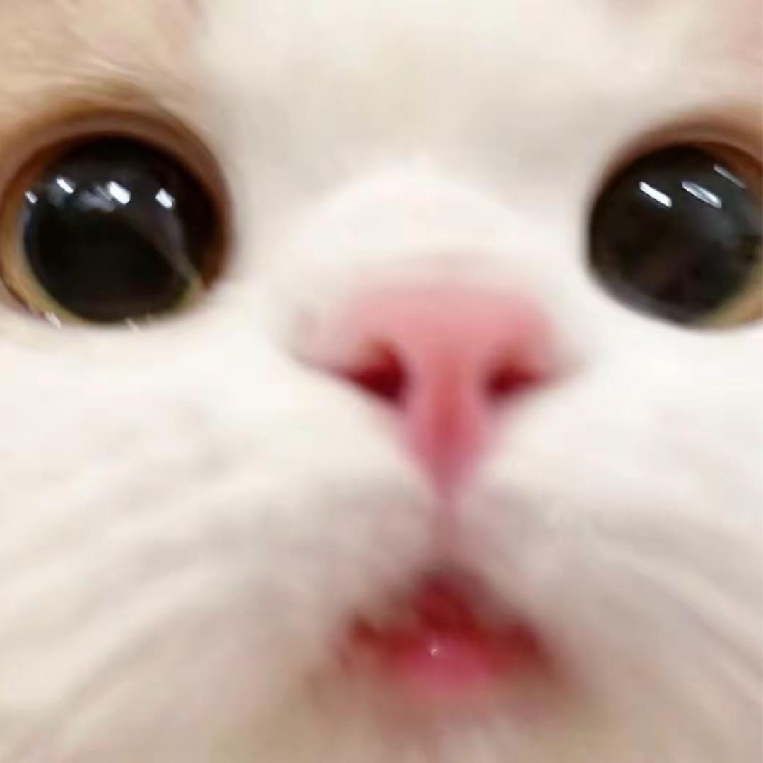(๑⃙⃘´༥`๑⃙⃘)