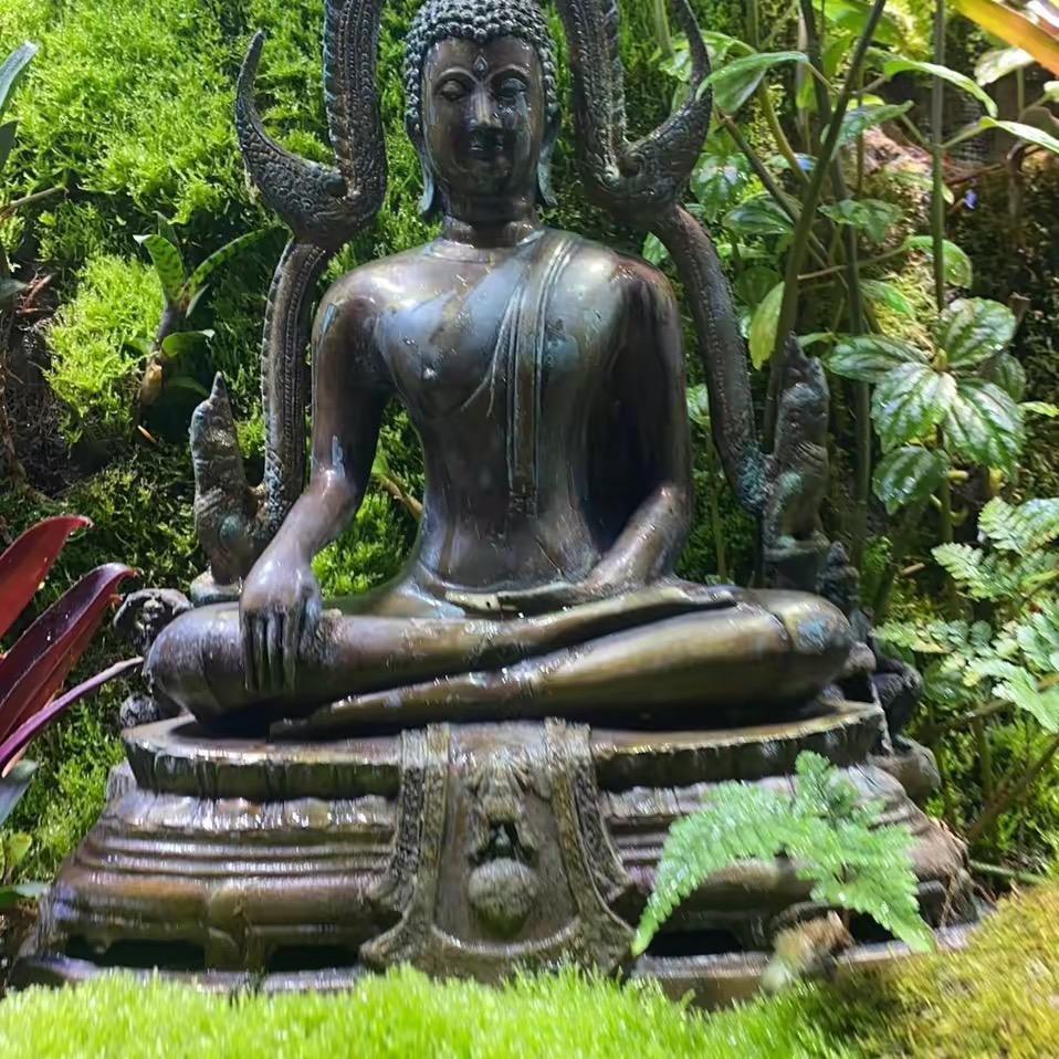 看🖐️手