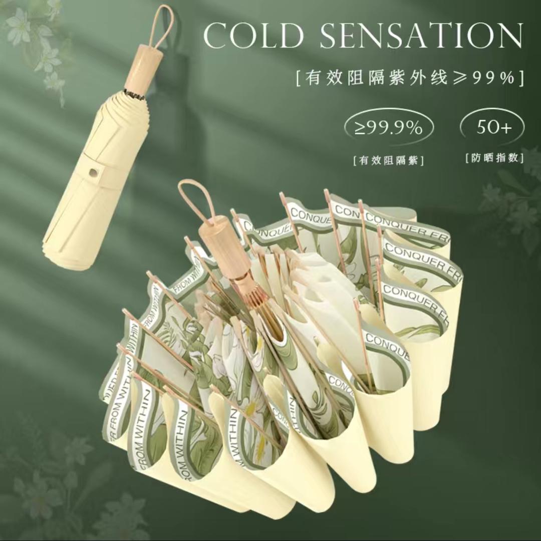 天彩雨伞