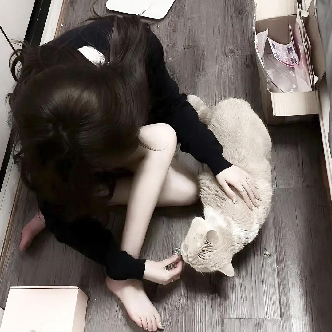 下次再见.