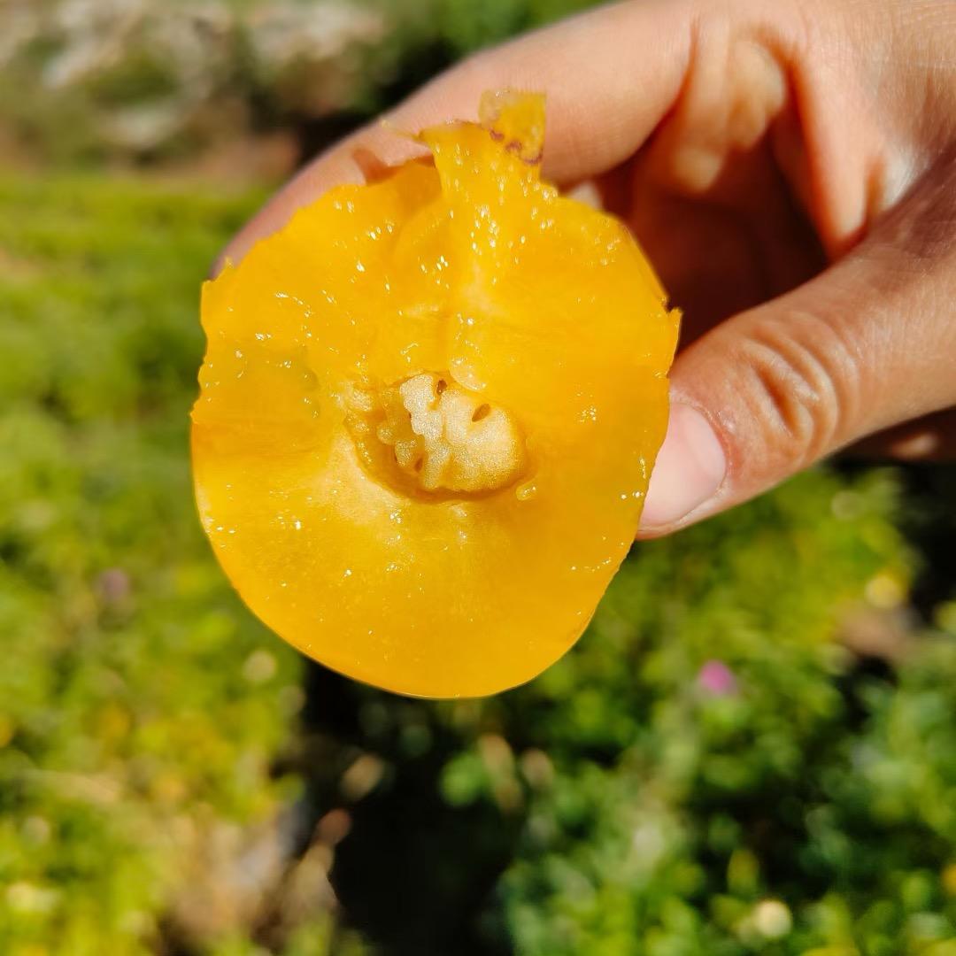 小石的农村生活（鲜果）