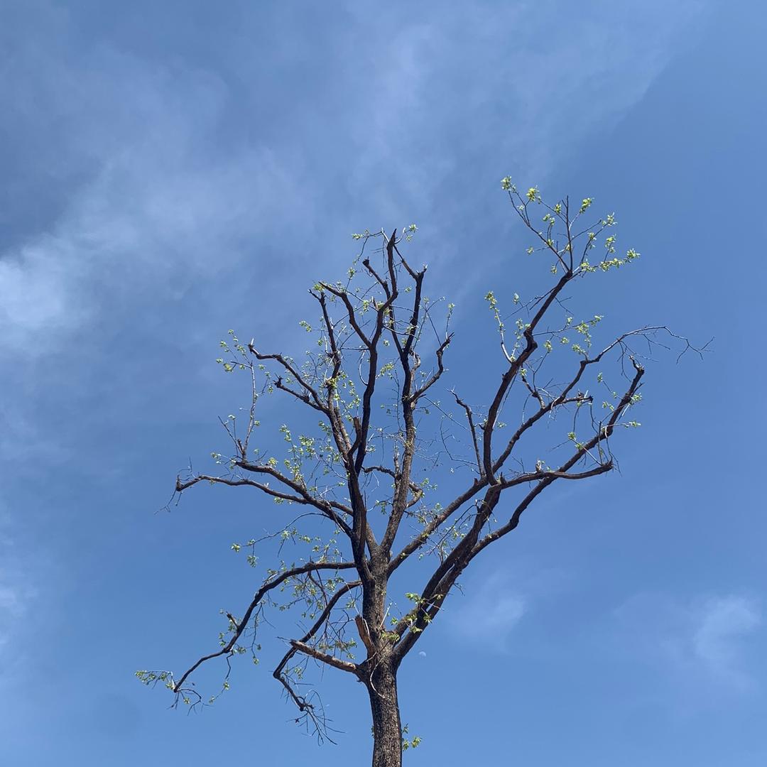 每天都有好运气