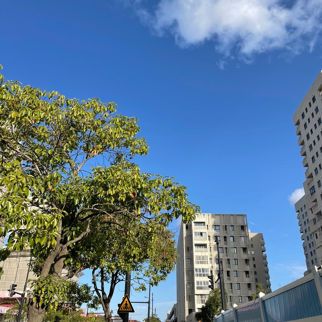 欣然一步