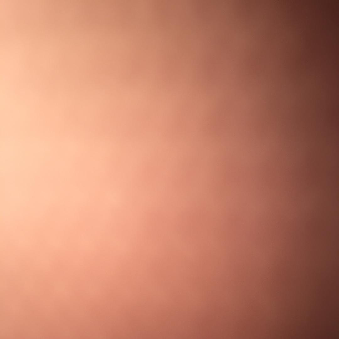 2陈冬