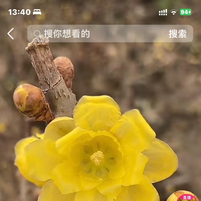 绿之苑盆景园