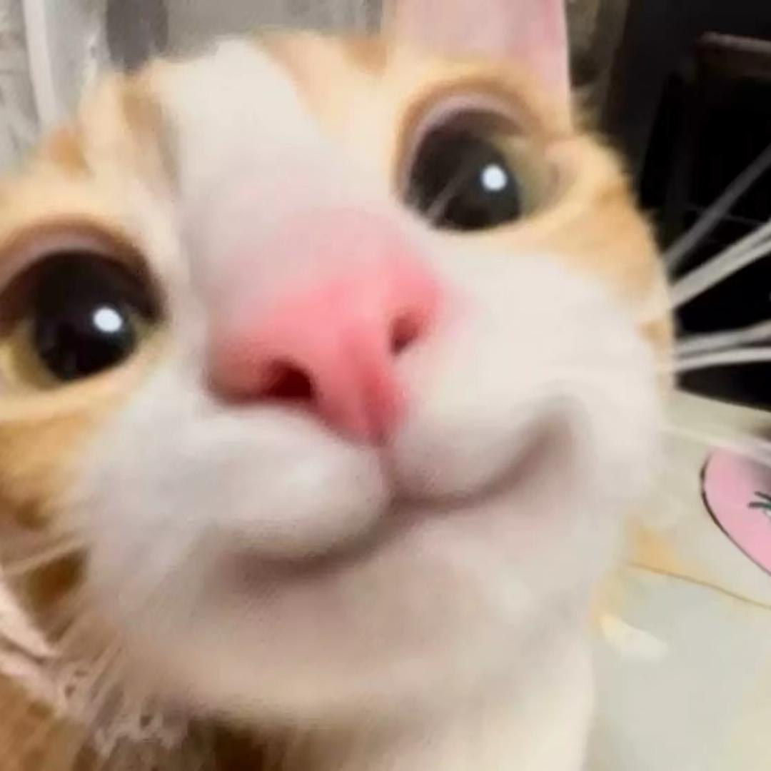 旖旎