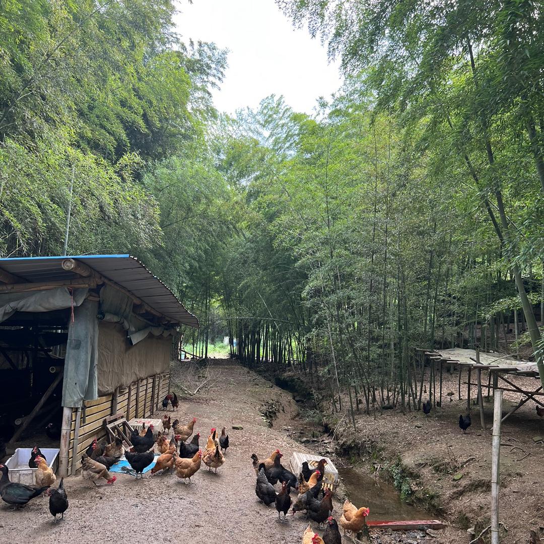 荆竹山农场方大德