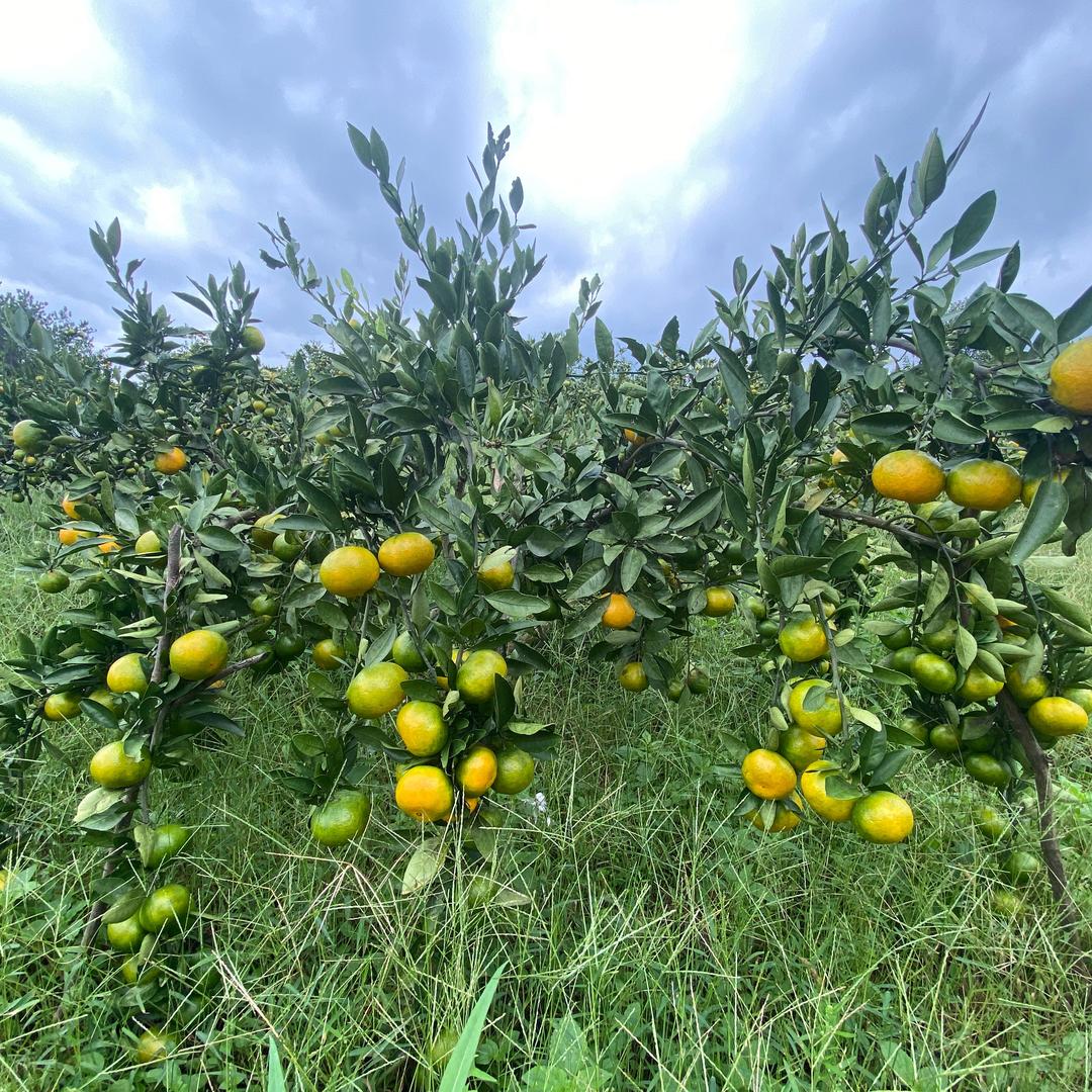 心ൢ想ൢ事ൢ成ൢ