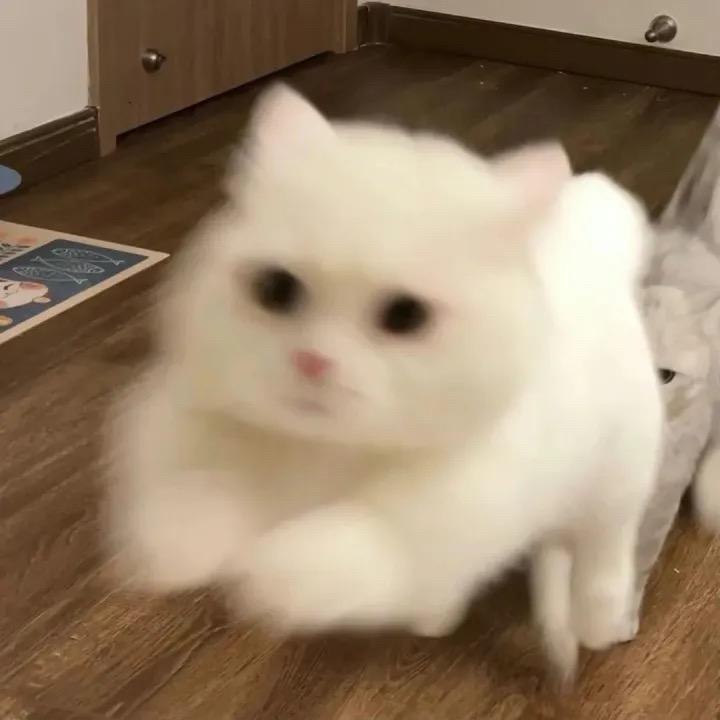 小韩