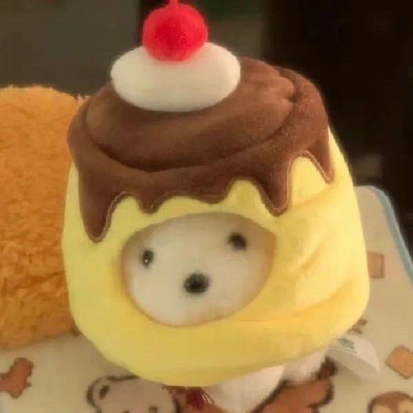 1111