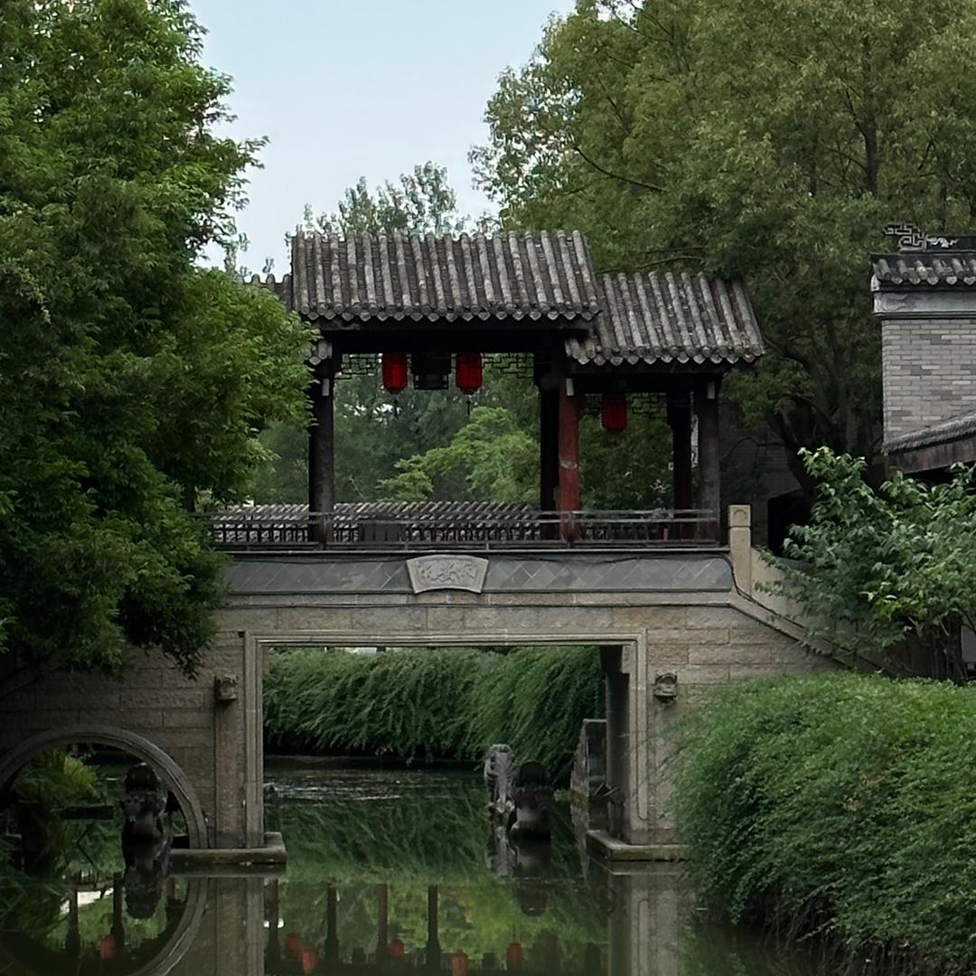 小黑阿拉巴拉