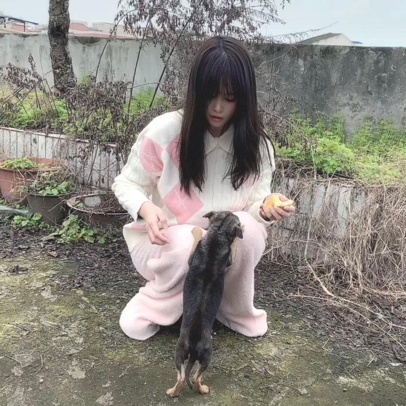 天外飞猪儿