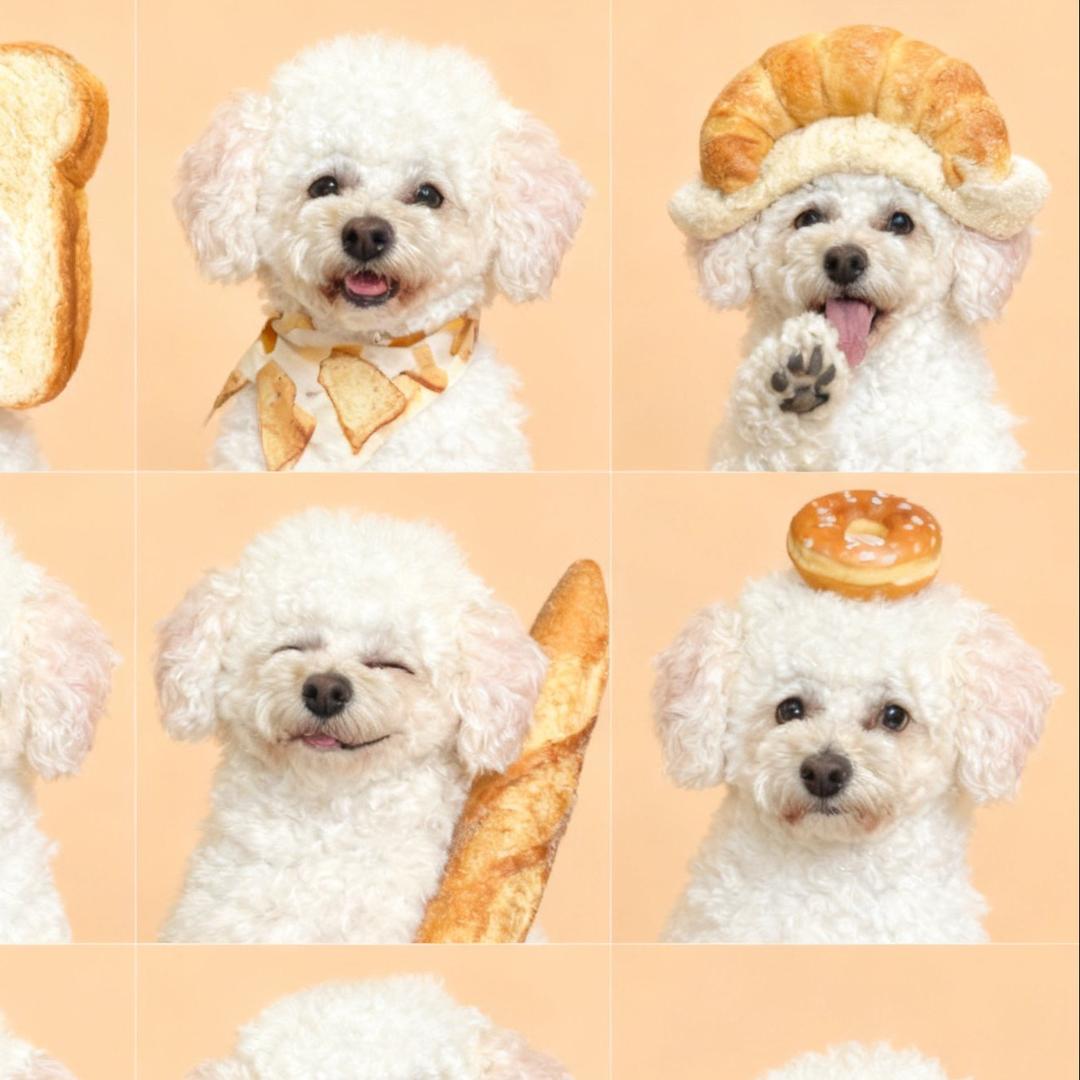 🧸我嘞个豆子呀🐶