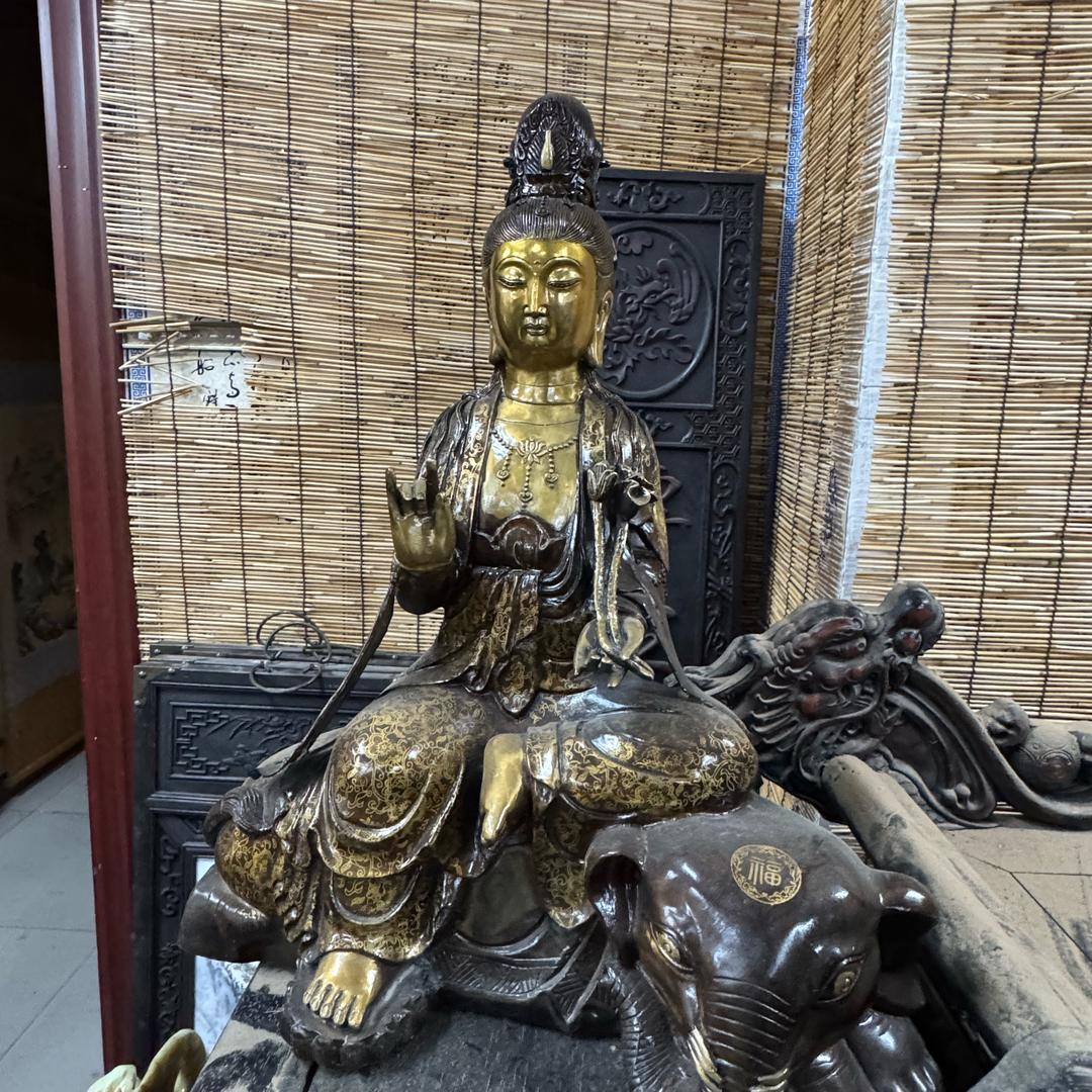 被爱抛弃的小陈💔