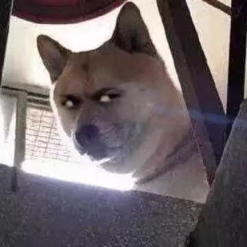 被窝哲学家丶
