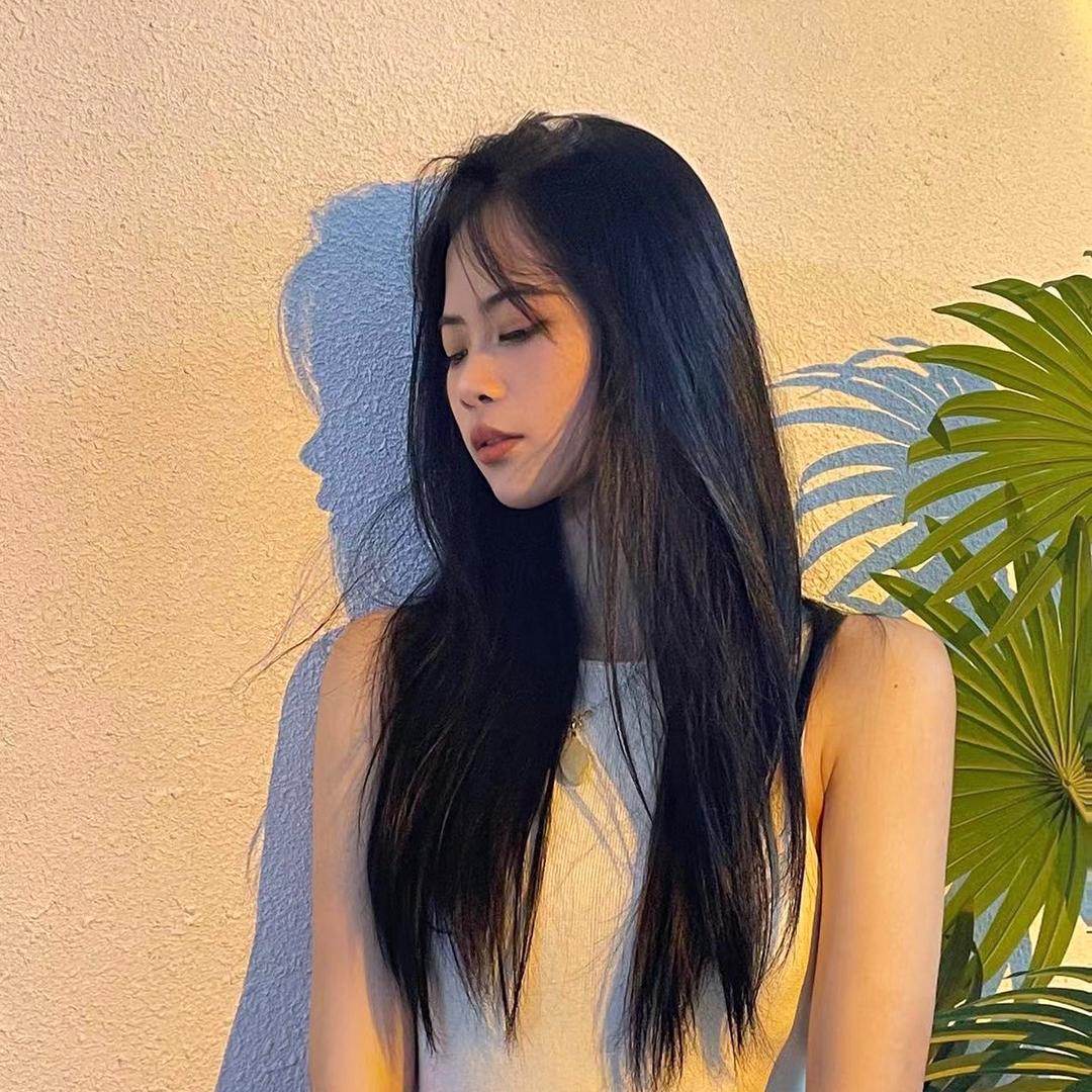 香菜-