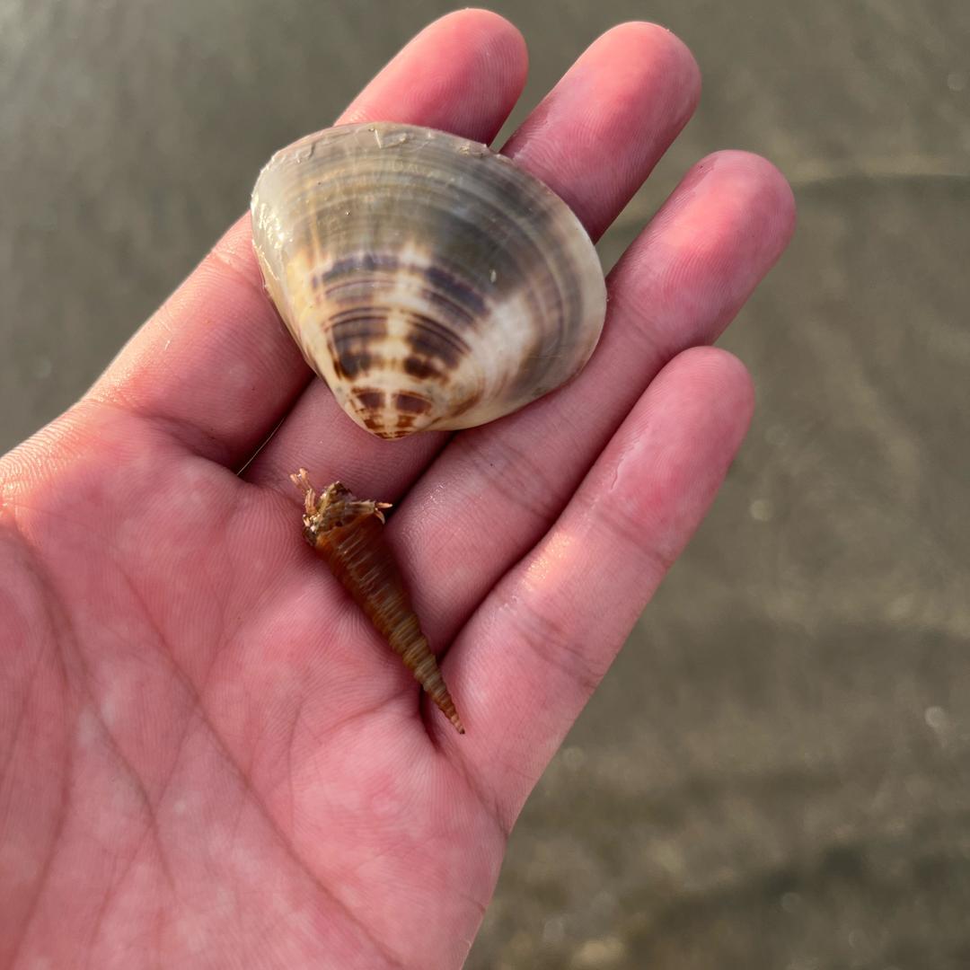 从来不和女孩亲嘴