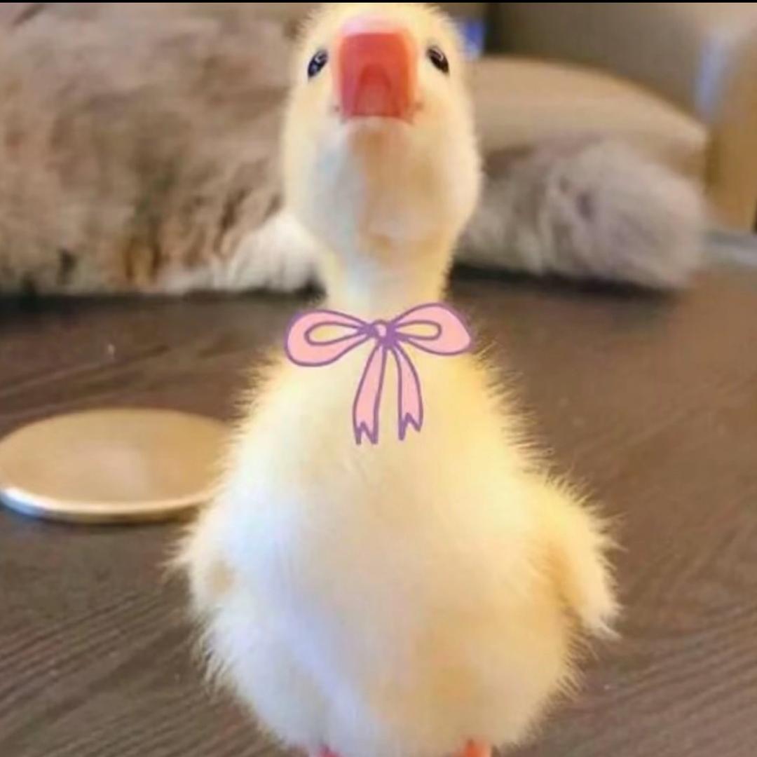 不困