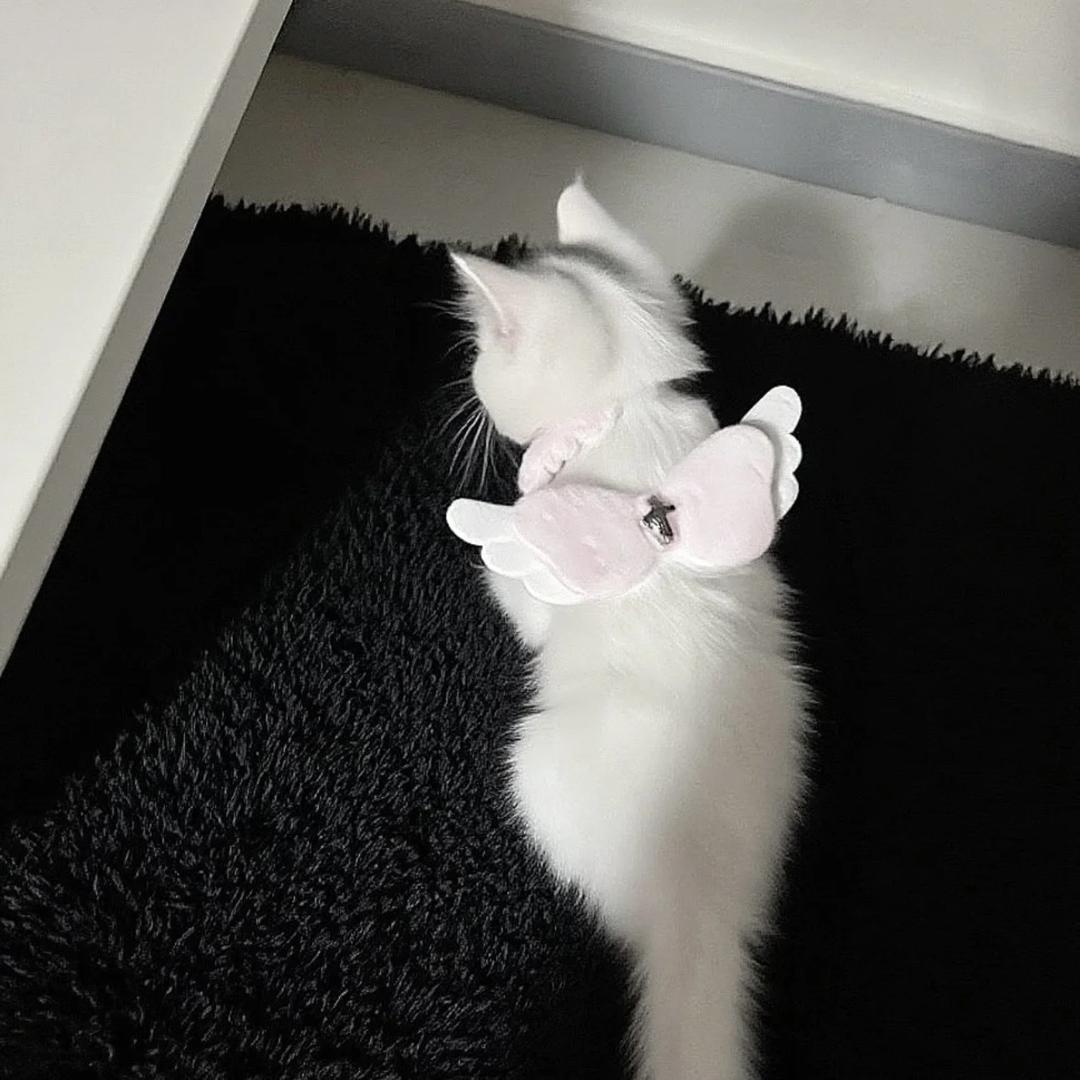 猫簪