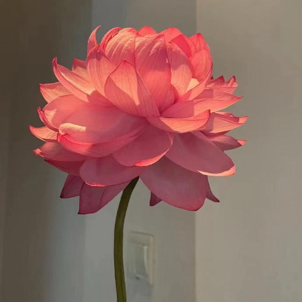 余生请多多关照❤️沐一