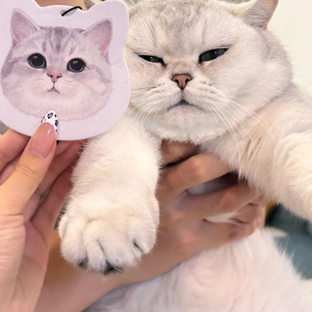 qaue