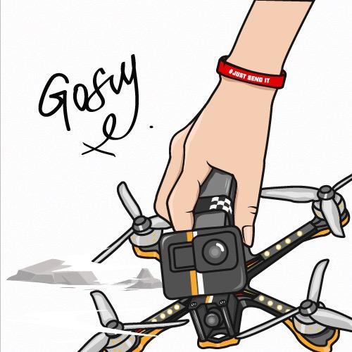 GOFLY实验室