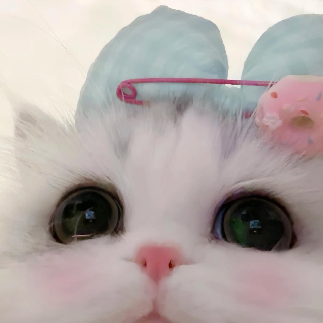 小小鲁