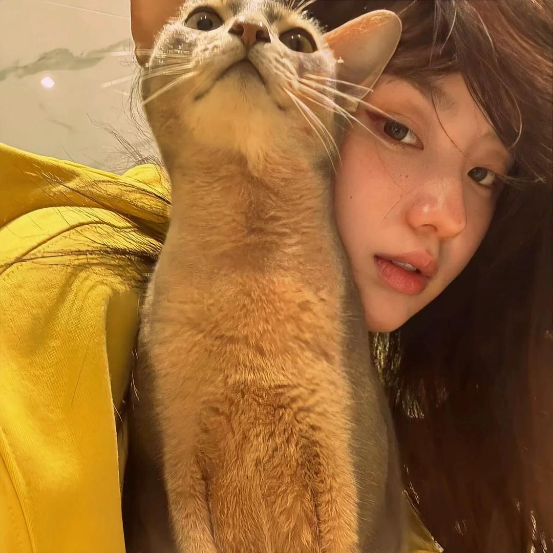 麦麦甜筒