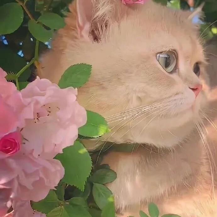 不见.