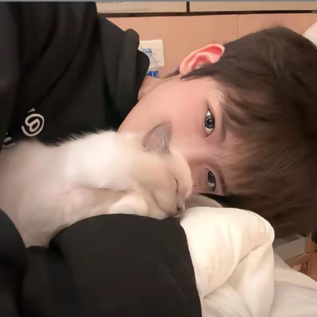 碎碎🎱