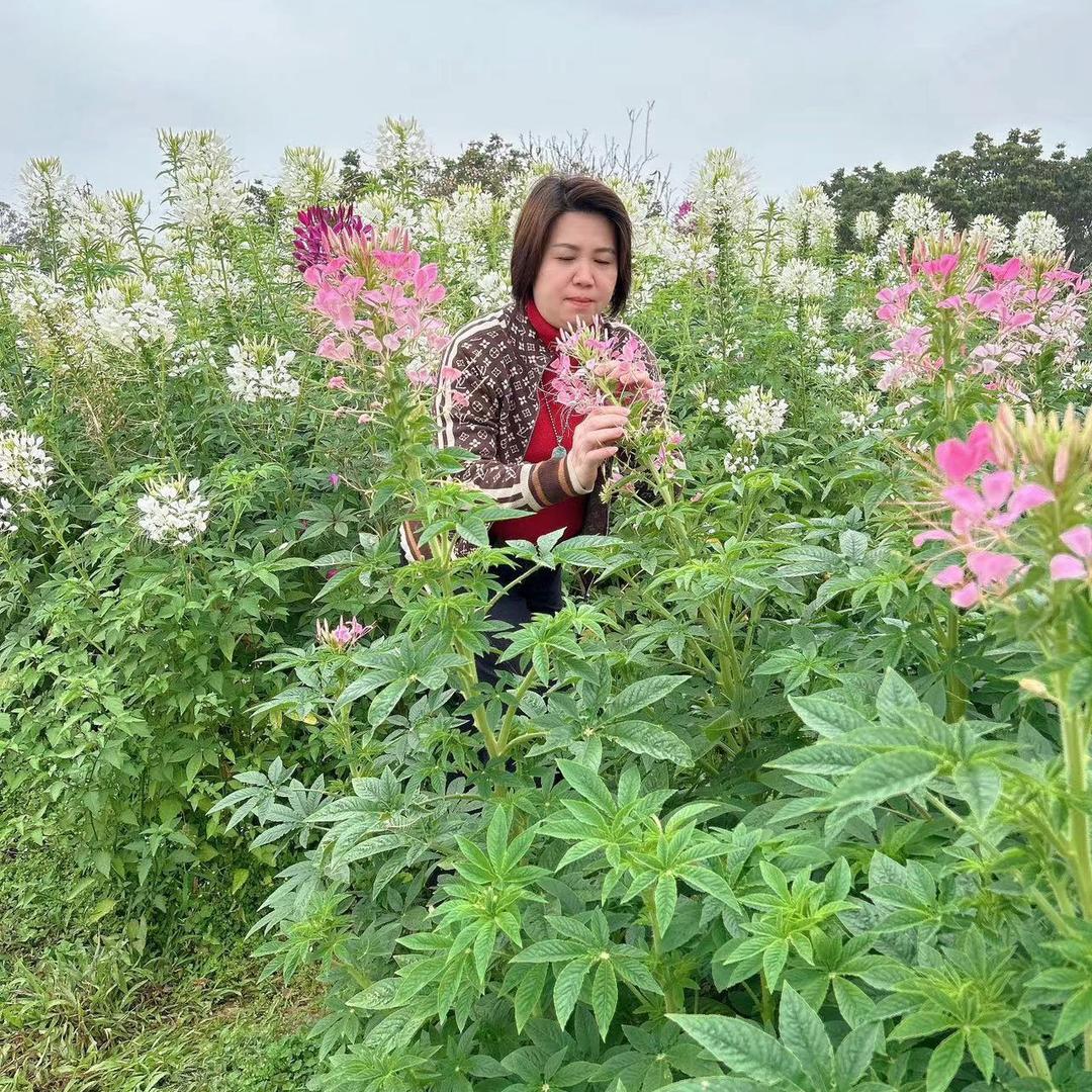 陈妙如