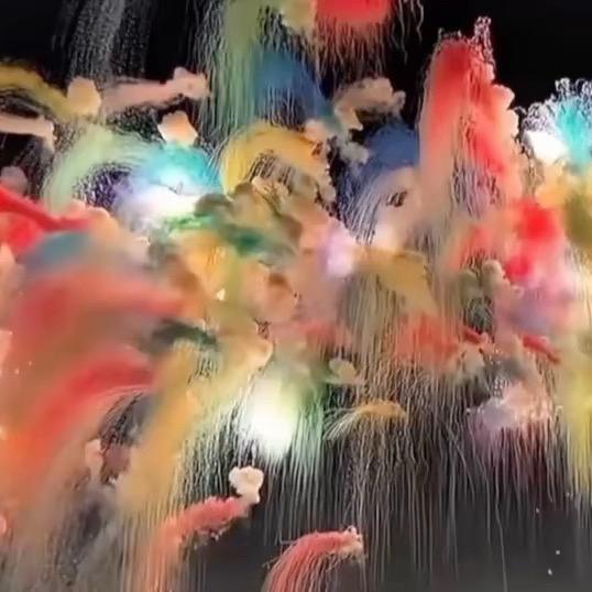 爸比你会唱小星星吗⭐️