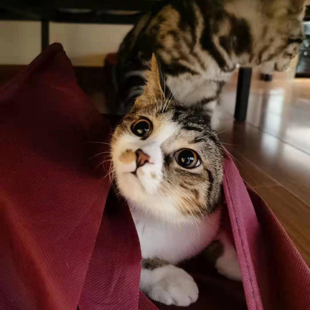 好大的那张床🛏️