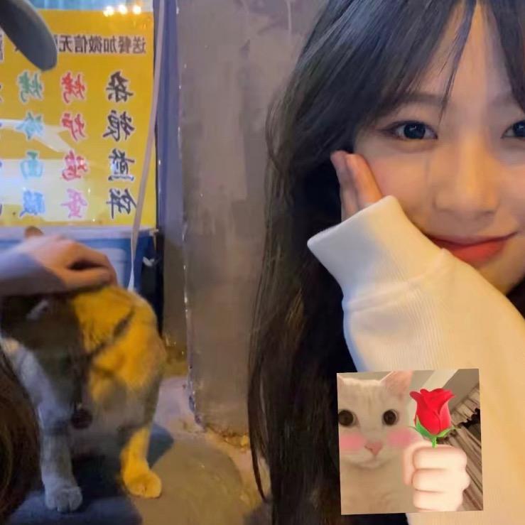 木总甄选好物