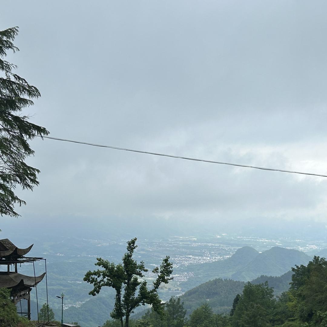 挖机小趴菜🎬蒙城专业挖树根，清理园林