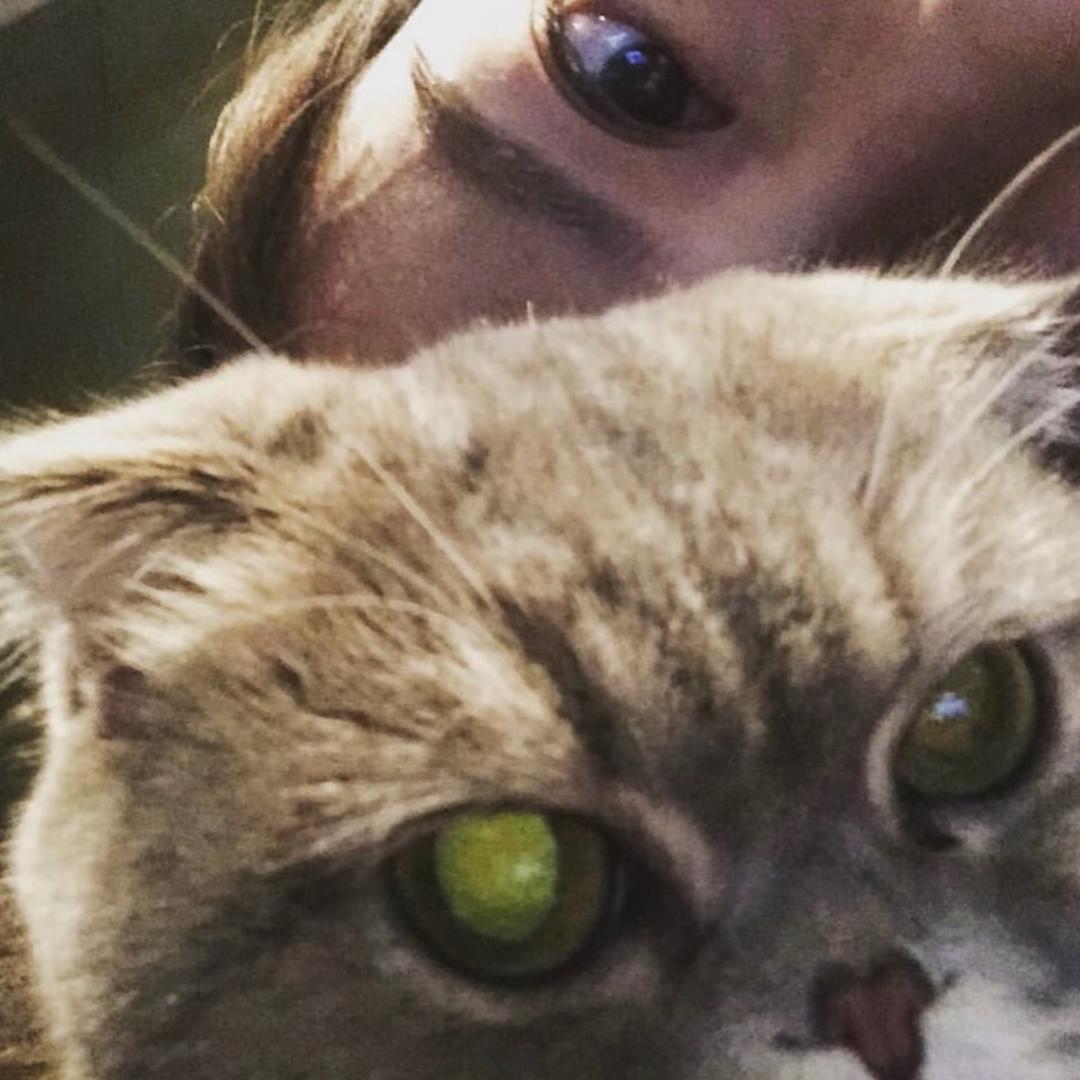 鱼鱼🈚️🌧️