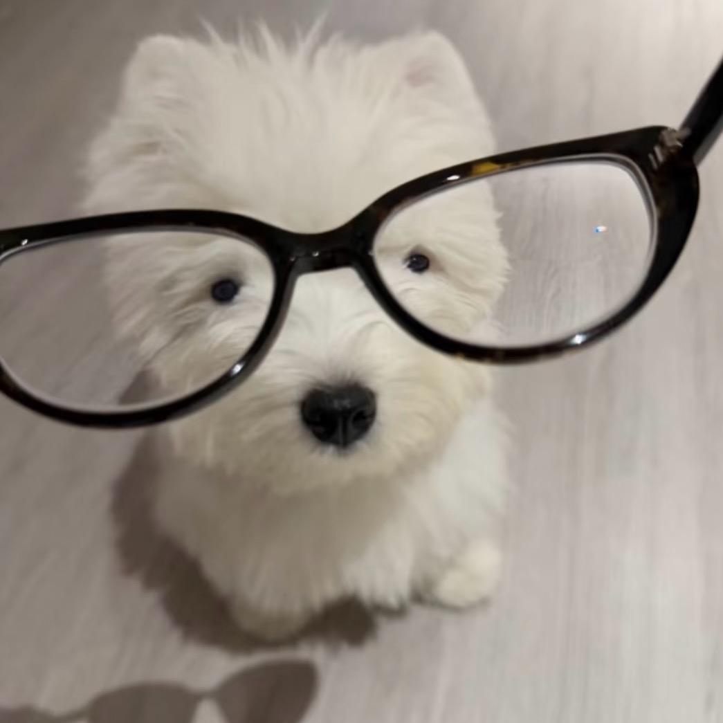 Y7不吃肘击