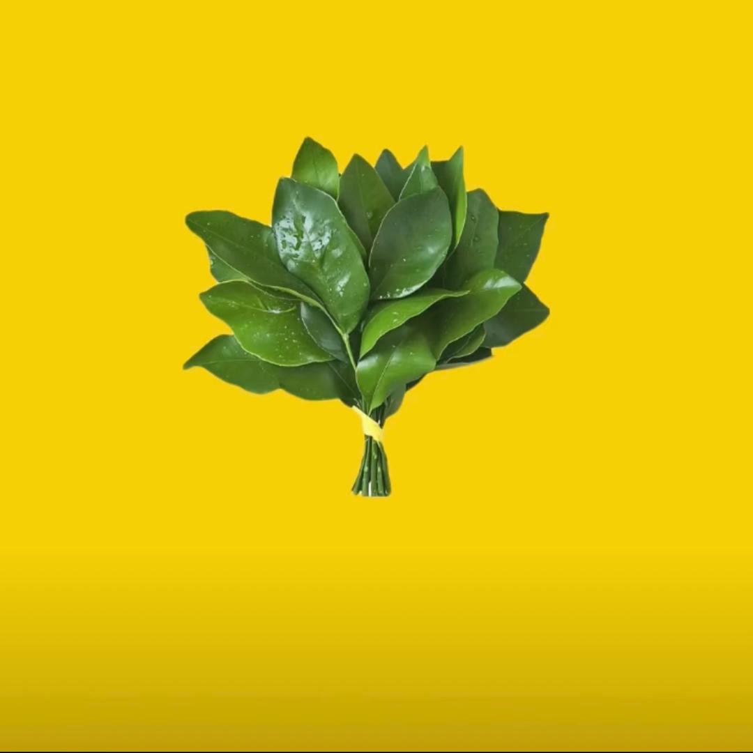 黄小欠儿