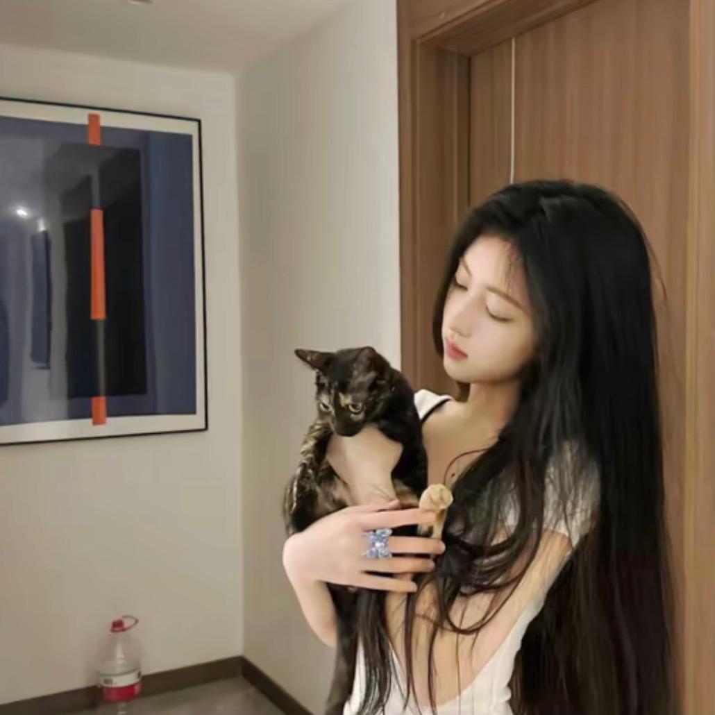 小猫没有方向感