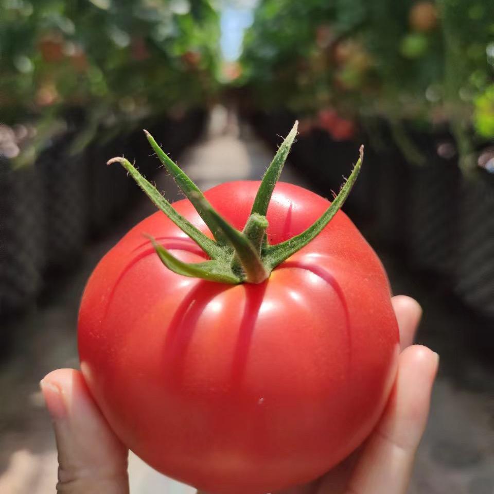 🔟9⃣️8⃣️7⃣️