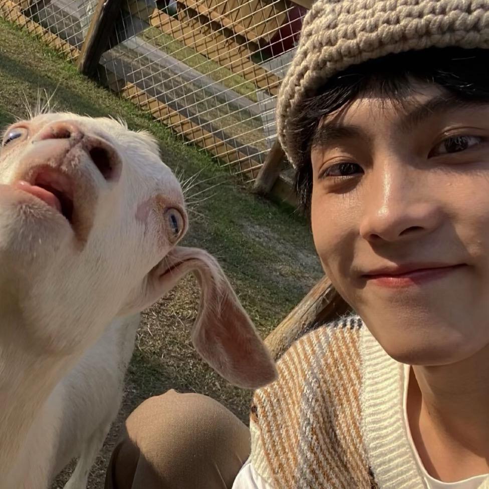 宝山国雄新希望