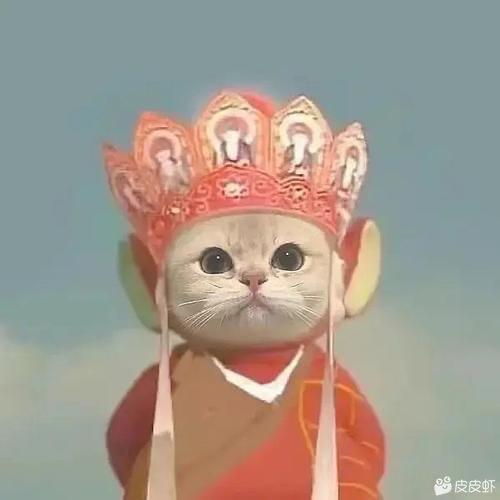 汉堡叔叔🍟
