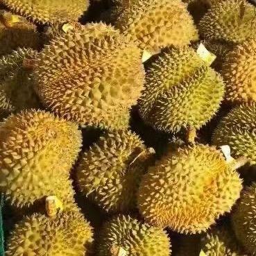 小敏美食🍌🍎🍇🍓