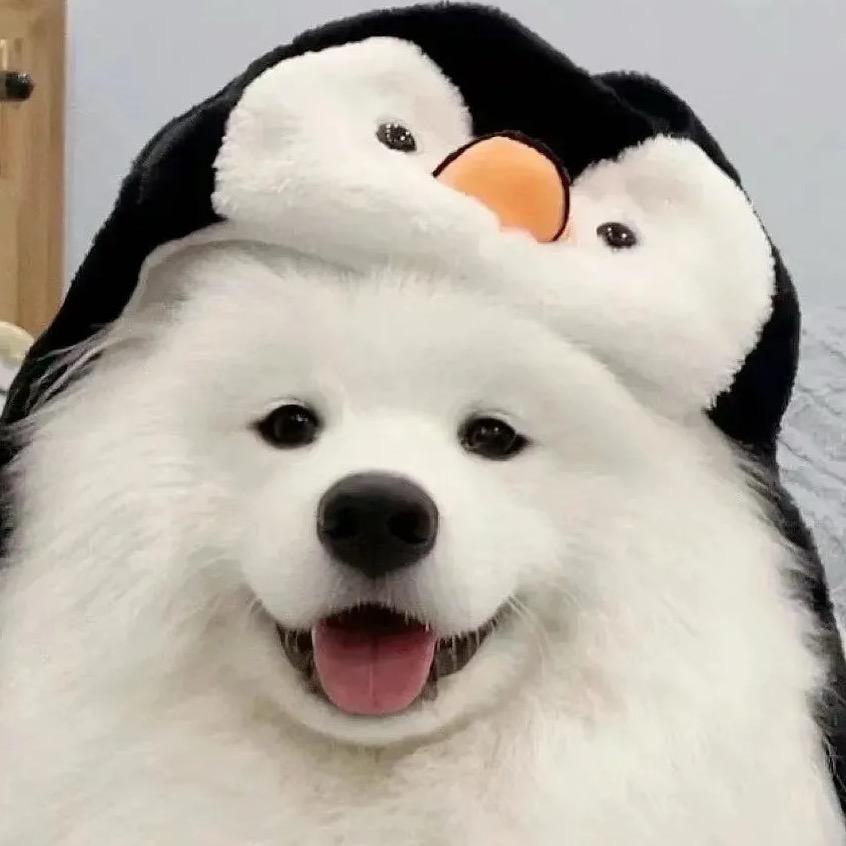 油桃不油_⁵²⁷