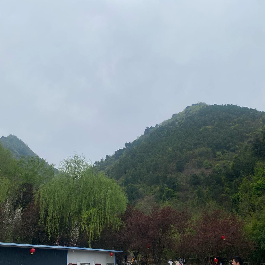 杨帆护航