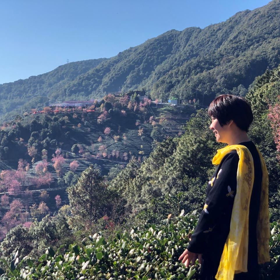 衣见宗芹