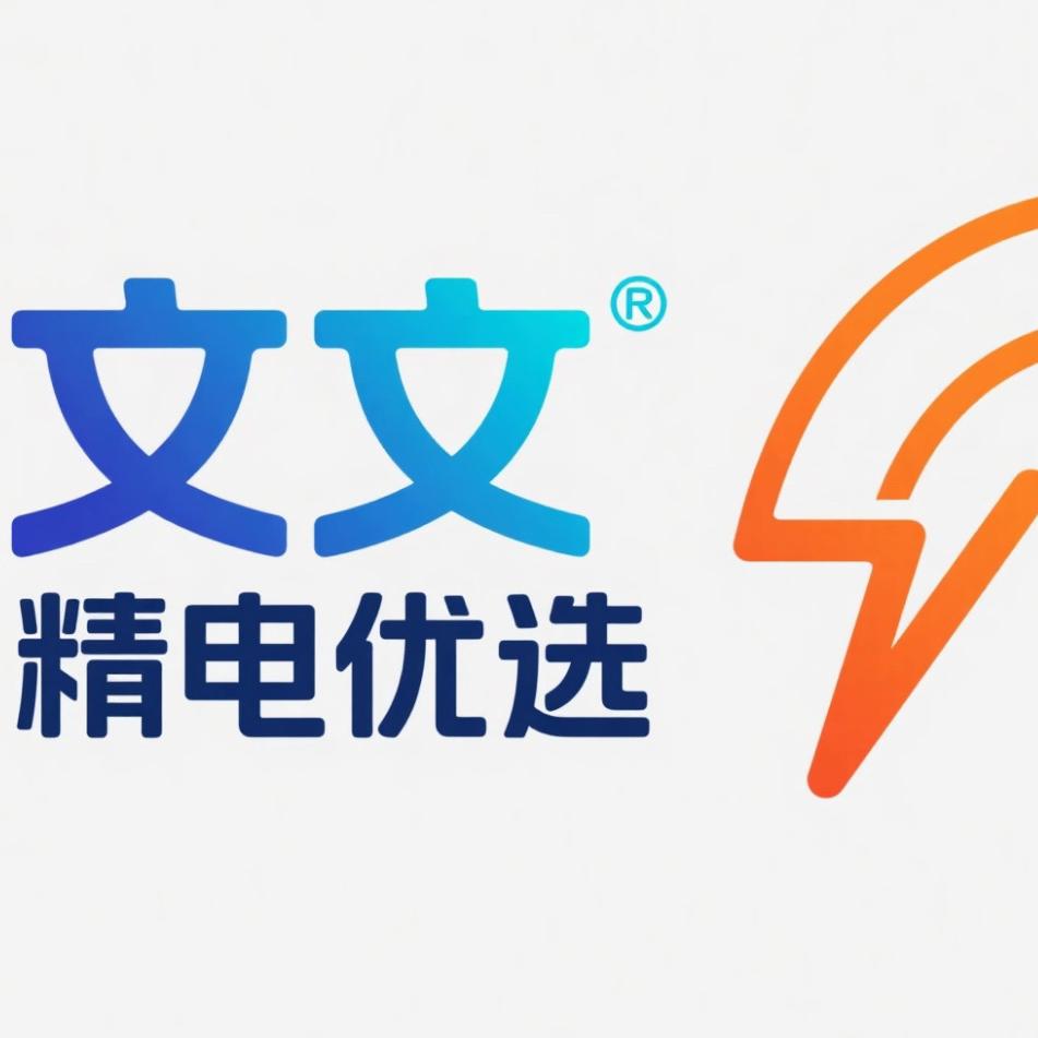 文文精电优选